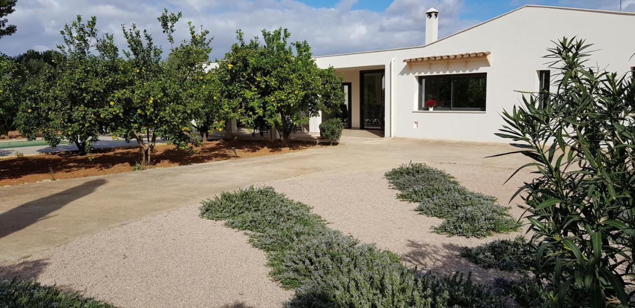 Son Drago - #124305 Ferienhaus Manacor (Mallorca)