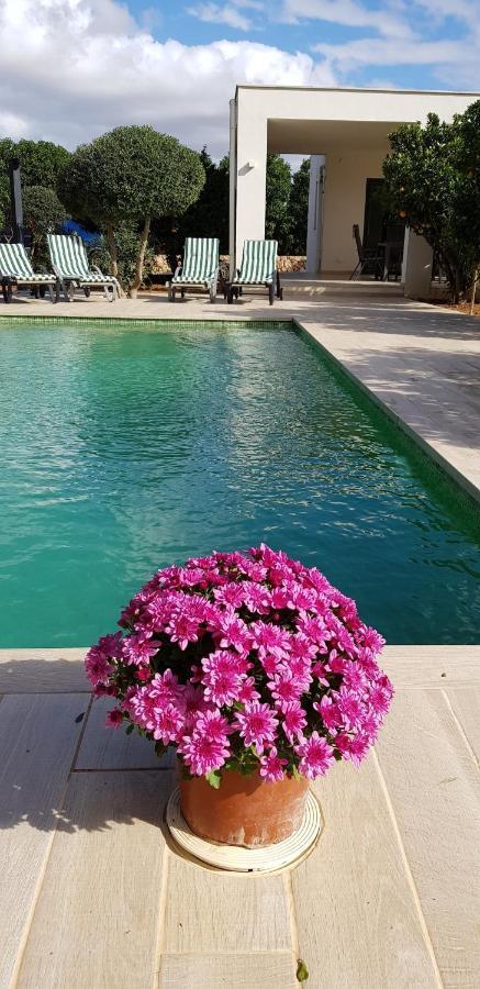 Hébergement de vacances Son Drago - #124305 Manacor (Mallorca)